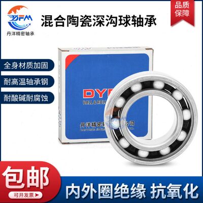 丹洋高速混合陶瓷球轴承6007 6008 6009 6010 6011 6012 6013ZZRS