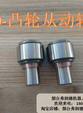 C55011051AS1-U30-凸轮从动轴承130403-00056