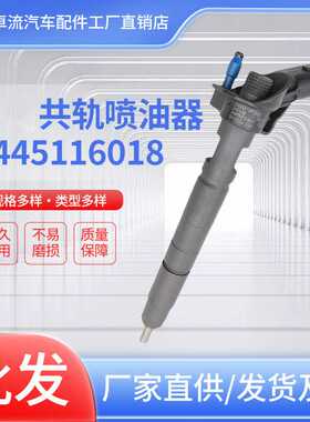 共轨喷油器0445116018 338002F000总成柴油喷油嘴