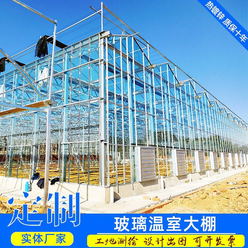 玻璃大棚纹络联栋骨架新型阳光房智能控制系统科研观光花房温室