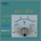 30L电压表指针交流电流表1 010A450 式 85v v250