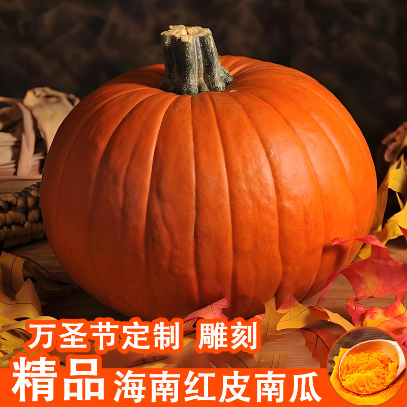 海南红皮南瓜【万圣节雕刻】