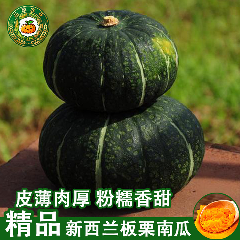 正宗新西兰板栗南瓜粉糯绿皮大南瓜