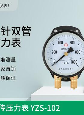 YZS-102双针双管压力表铁路面板压力表1000KPa上海压力表