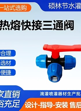pe水管快速活接头同径塑料三通阀pvc外连六分三通接头温室滴灌溉