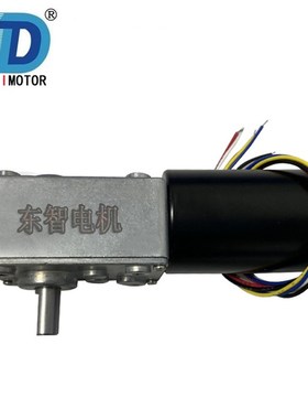 DZ58-3650ZY涡轮蜗杆无刷减速电机 激光切割供料机12-24V直流马达