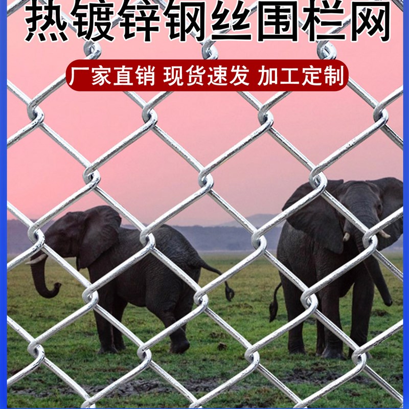 采购产品镀锌钢丝网,防锈钢丝网,钩栅栏网,饲养网,狗,牛,羊和猪护