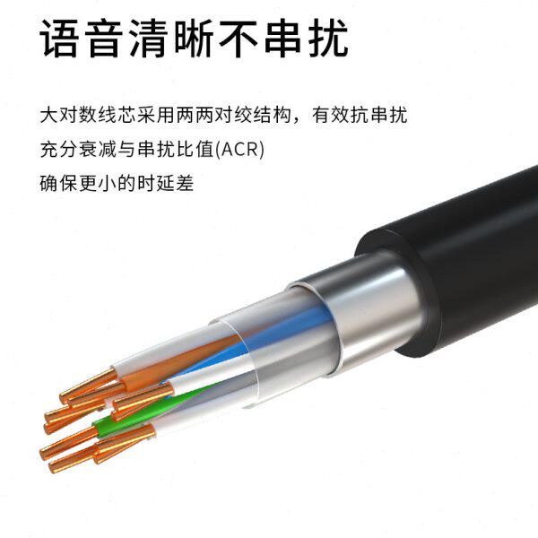 博扬 室外大对数电缆 电话电缆语音线缆10对大对数缆HYA-10*2*0.5