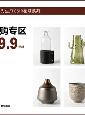 R 9陶瓷19I格TG藤插花瓶摆件玻璃元起 花瓶优惠专区 .S限量先生