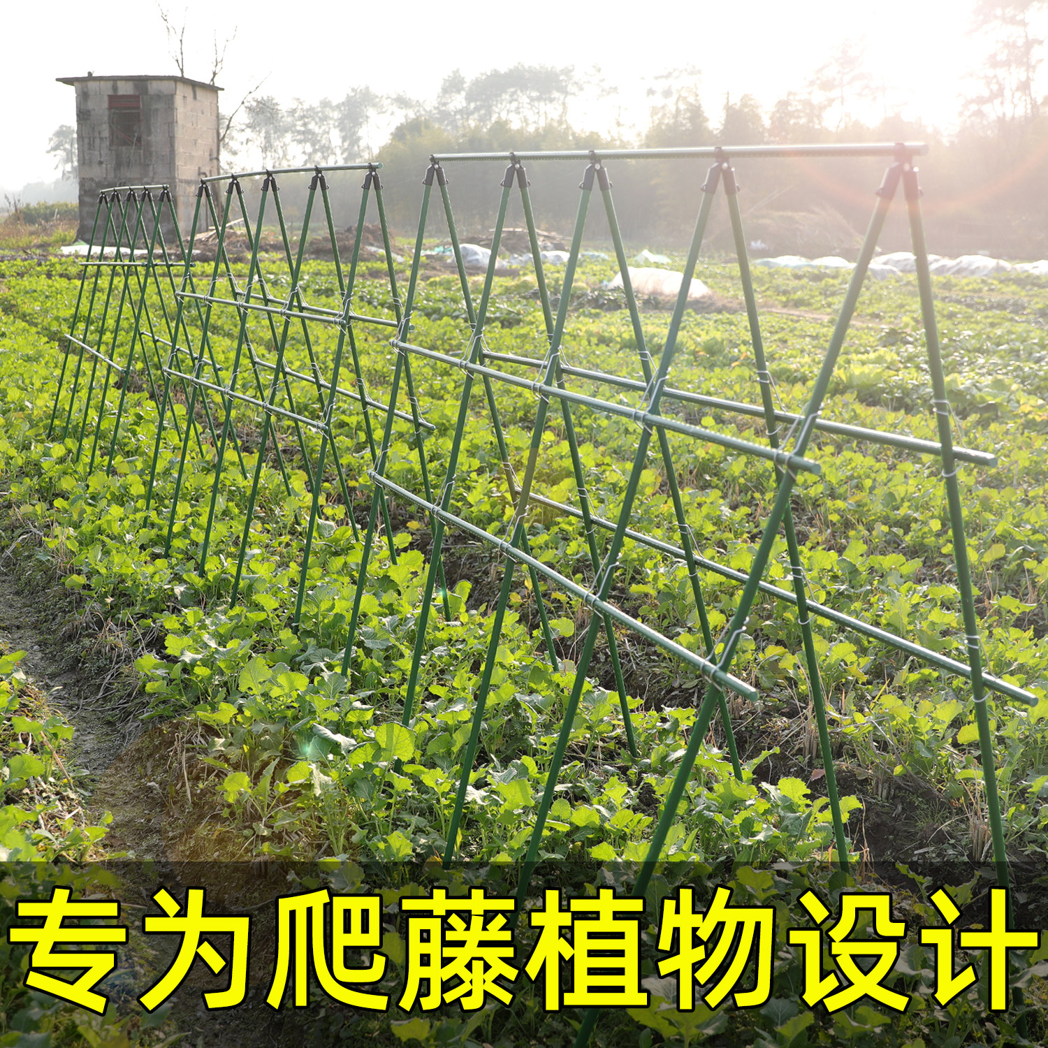 园艺花架庭院支撑杆户外植物豆角黄瓜牵L引攀爬架铁艺固定爬藤架,鲜花速递/花卉仿真/绿植园艺,花架,淘宝优惠券,粉丝福利购,淘宝优惠卷