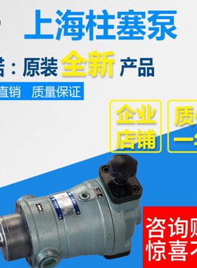 10SCY/25SCY/40SCY/63SCY/80SCY/100SCY/160SCY14-1B上海柱塞油泵