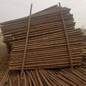 河道护岸汛木户外支撑杆绿化 杉桩 打桩松木原木木防木桩圆木