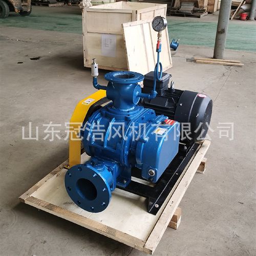 密集式三叶罗茨鼓风机曝气污水处理增氧真空泵密集式罗茨通风机