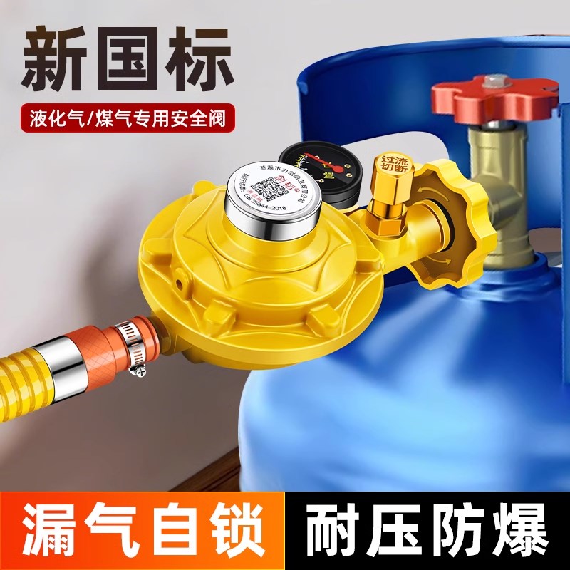 新国标煤气减压阀自闭阀煤气罐液化气家用猛火安全阀自动关闭燃气