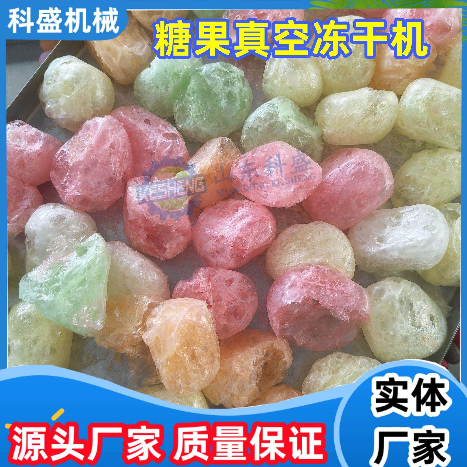 糖果真空冻干机宠物粮果蔬脆冻干设备软糖棒棒糖冻干机器