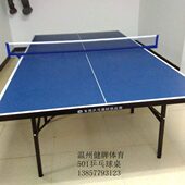 架外乒乓球桌室内带乒乓球台标准网乒乓球桌家用