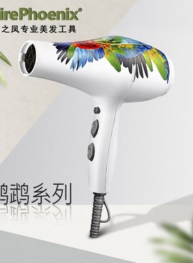 火之凤吹风机发型师专用超轻静音发廊大G功率理发店造型5600A鹦鹉