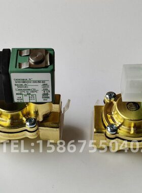 021616电磁阀E8 SCSC23黄铜EC水阀811802300130DD两通0/13