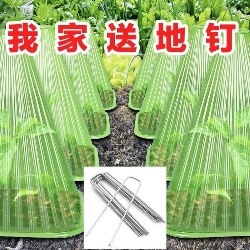 专用使用重复使用方形植物钟罩免受大棚鸟M类霜冻伤害绿色育苗保