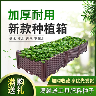 菜园种植c箱长方形户外楼顶蔬菜阳台种菜盆家庭花盆槽特大塑料室