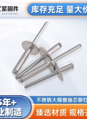 12615铝铁g封闭型扁圆头抽芯铆钉 304不锈钢12616防水封闭沉头铆