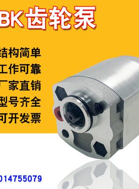 -F/FC68/F4.1.3.2/8C02./F微型-FK齿轮泵.B1B7K齿轮泵8/FBK/F6C.