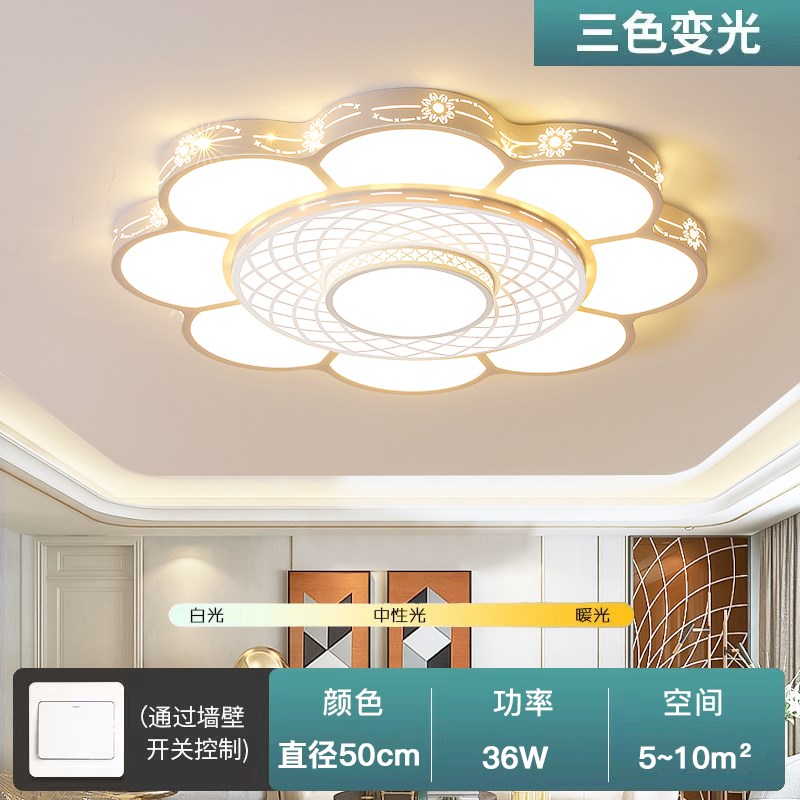 2024新款g客厅灯轻奢花朵大圆形灯简约现代大厅主灯网红卧室餐厅