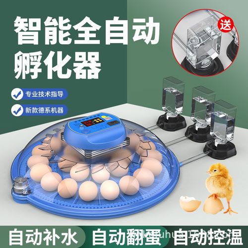 小飞碟孵化器小型家用孵化机智能全自动控温孵蛋器翻补水