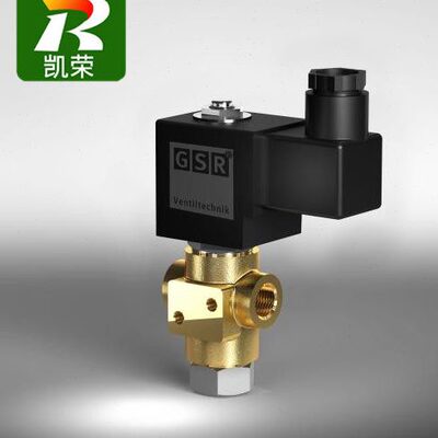 GSR电磁阀线圈K0510139 DC205V G01604999 G075 7544A/1002/.012
