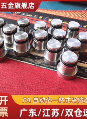 直线导轨定位销偏心销 LLT LLTS 1.4/1.8/3.5/5 ICE11-T ICE12-T5