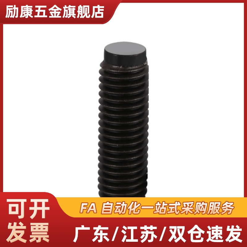 TDA01-M5/M6/M8-L10/L12/L16/L20/L25/L30/L40/L50挡块止动螺钉丝