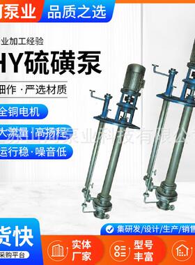 LHY系列保温硫磺泵厂家定/制立式耐酸碱无堵塞液硫泵泡沫泵