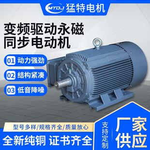 变频驱动永磁同步电动机工业自动化设备电动机驱动牵引系统电机