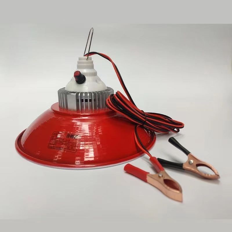 12V24V48V地摊灯夜市灯低压电瓶灯水果生鲜灯猪肉熟食灯红光变色