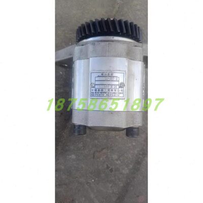 齿轮油泵齿轮泵 CB10/20-6BT-3洗扫车转向油泵 37齿环卫车 扫路车