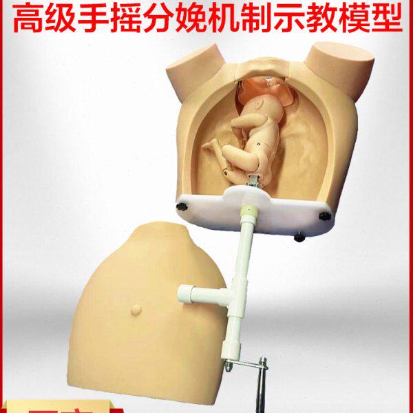 高级手摇分娩机制示教模型 医学用练习模具 助产训练模型分娩教学