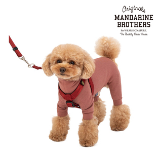 MANDARINE BROTHERS曼德瑞多功能自动伸缩宠物狗链牵引绳10kg以内