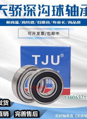 NU310E.TVP2  50*110*27 圆柱轴承