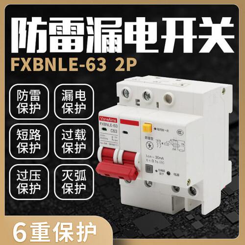 风向标 漏电保护器防雷家用空气开关断路器带漏保2P63A浪涌保护器