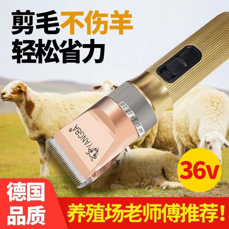 36V羊霸两档调速羊毛剪宠物电推剪剃羊毛推子狗兔毛机500瓦大功率