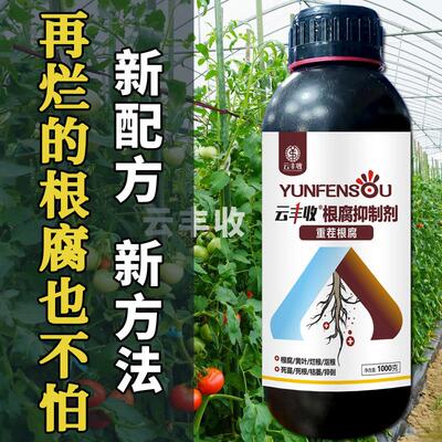 正品云丰收根腐抑制剂根腐猝倒黄叶烂根茎基腐死棵促生根活化土壤