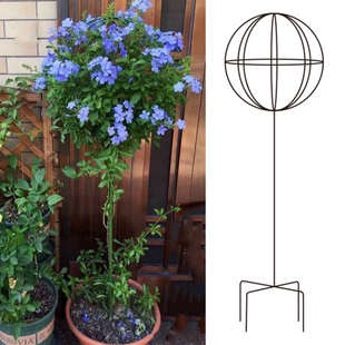 风车茉莉铁线g莲爬藤架蓝雪花棒棒糖花架子花盆支架杆铁艺球形造