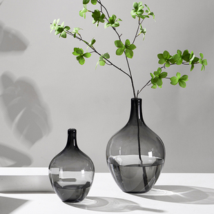 透明玻璃摆件大肚花瓶客厅落地圆肚小口径插花水T养马醉木水培吊