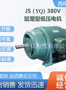 西安电机JS（yq）115-10极45W低压鼠笼型交流三相异步电动机