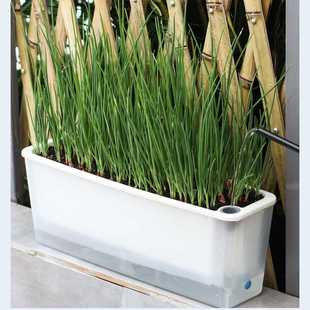 欧林泽阳台种菜盆窄窗专用长方形花盆种菜盆自吸水挂式长条形花盆