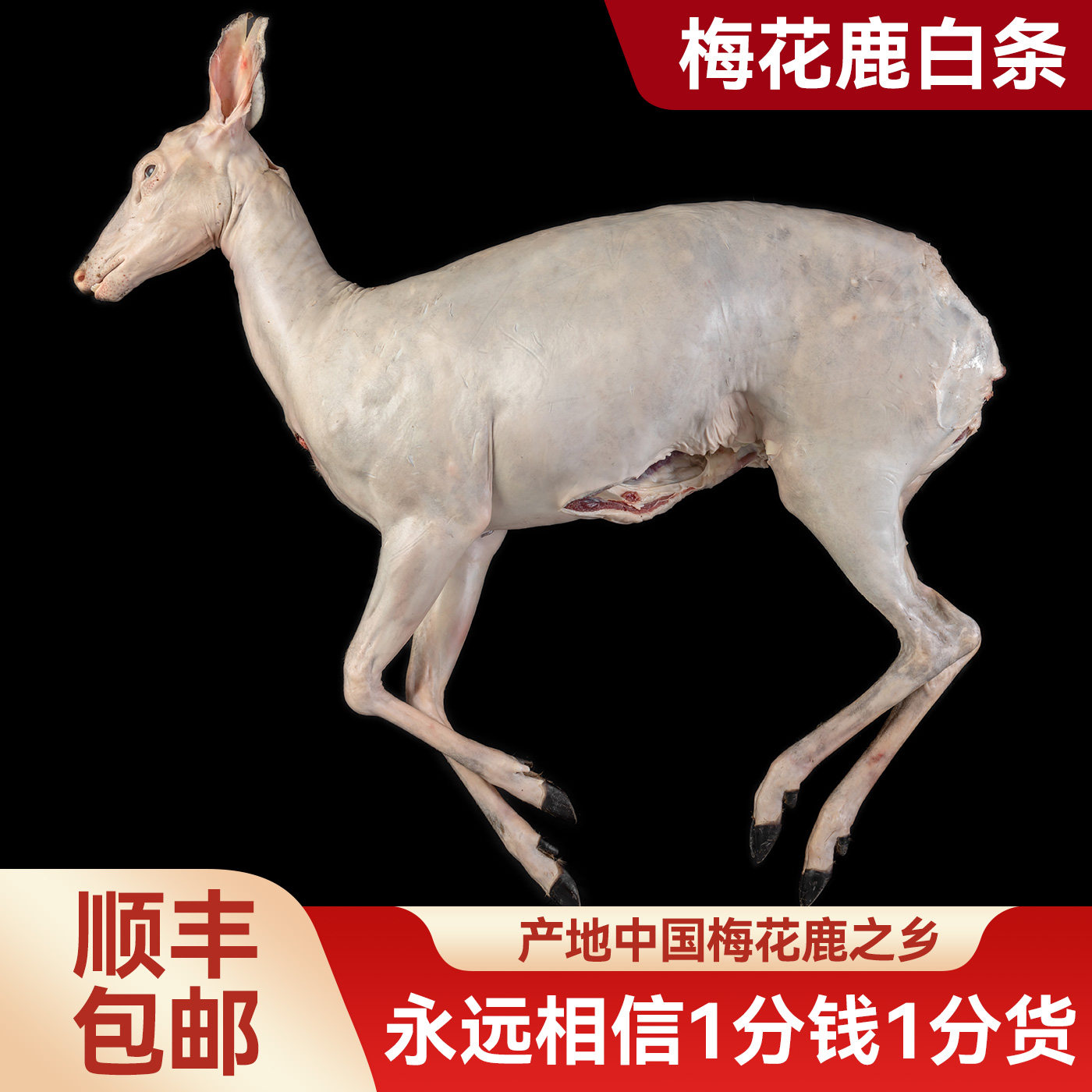每日现杀整只梅花鹿白条