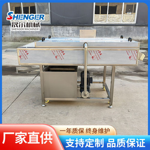 全自动毛辊清洗机 根茎类去皮清洗机 新花生去泥沙毛辊清洗机