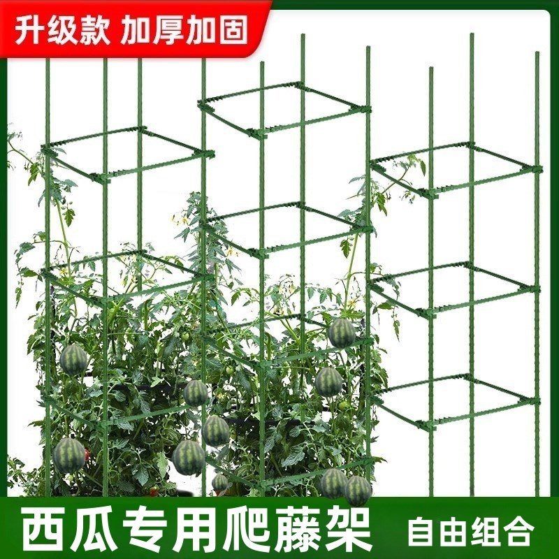 西瓜爬藤架子露天室外o支架瓜果牵引架园艺支撑杆户外庭院阳台种