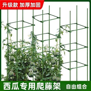 西瓜爬藤架子露天室外o支架瓜果牵引架园艺支撑杆户外庭院阳台种