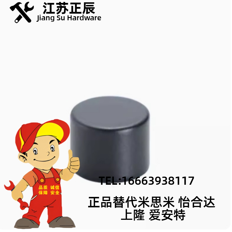 环氧树脂磁铁 BLS11-nD3/D4/D5/D6/D8/D10-L5/L6/L8/L10